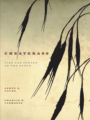 cover image of Cheatgrass